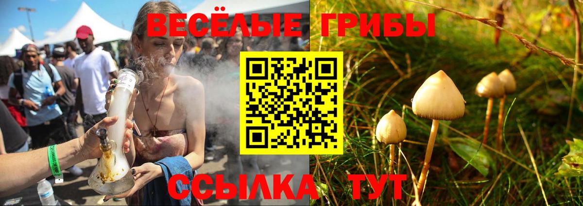 Галлюциногенные грибы MAGIC MUSHROOMS  Вход с VPN  Новоалтайск  Галлюциногенные грибы ЛСД 