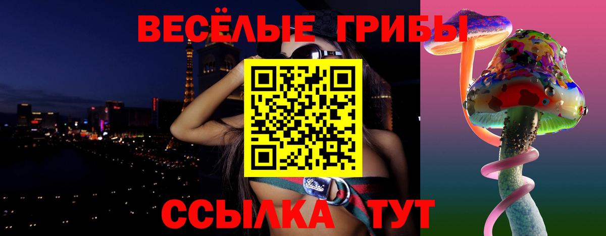 Псилоцибиновые грибы прущие грибы Новоалтайск